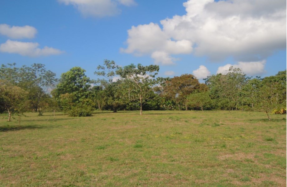 Villanueva-Quepos: Large farm for sale, mostly flat land