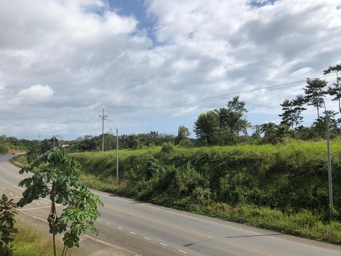 For sale Hill side property in Savegre, Quepos. Negotiable price.