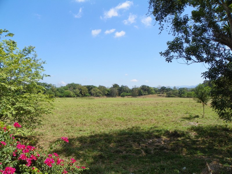 For sale cattle ranch in front of the Costanera Sur, just 15 minutes from Manuel Antonio