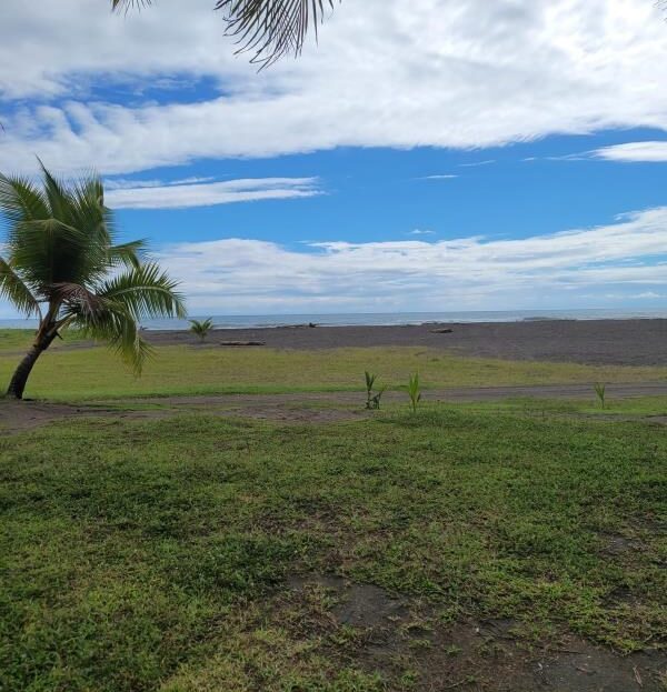 Titled Beachfront 3 hectares Bonus Home
