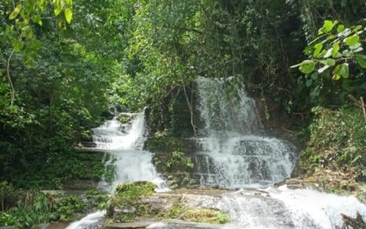 Savegre de Quepos
