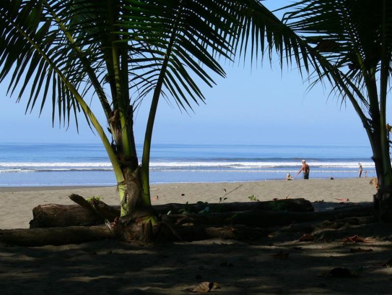 REDUCED PRICE / HOUSE WITH 1.48 ACRES ONLY 1 M FROM THE BEACH / TITLED.
