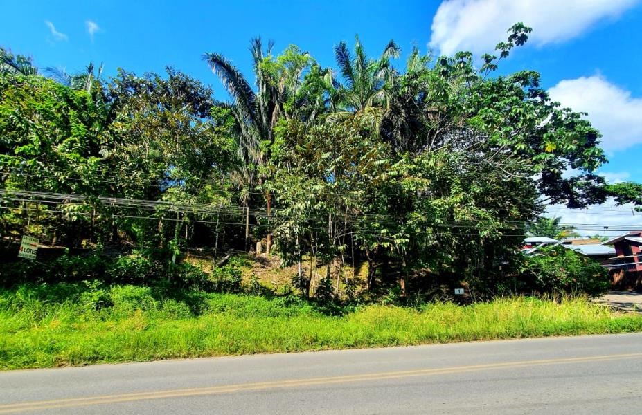 Beautiful 660 m2 lot for sale, mixed and residential land use in Manuel Antonio !! $73 000