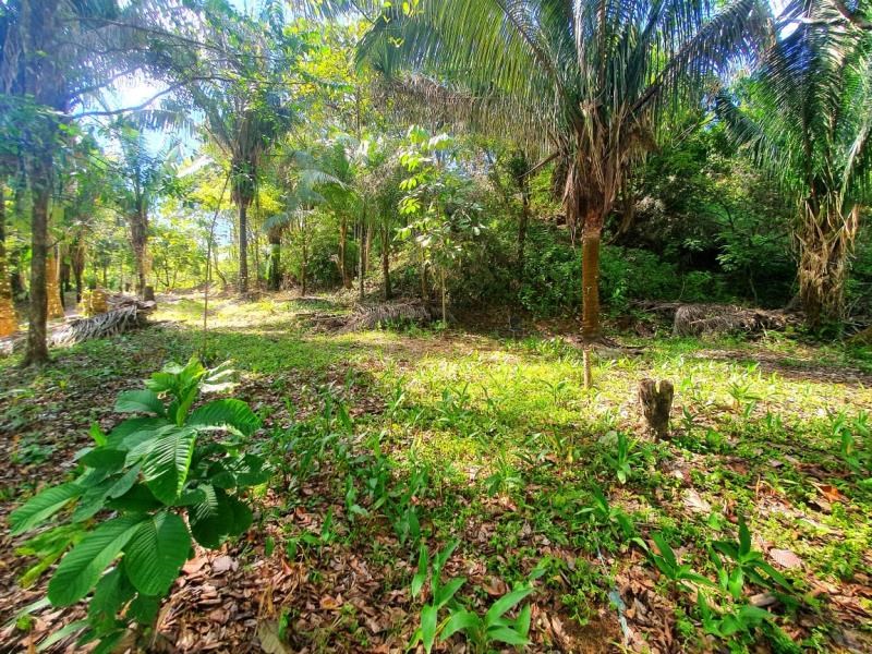 Beautiful 516 m2 lot for sale, mixed and residential land use in Manuel Antonio Beach !!!