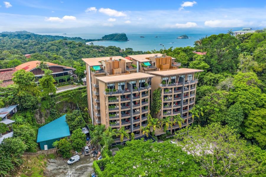 Luxury Treetop 14A