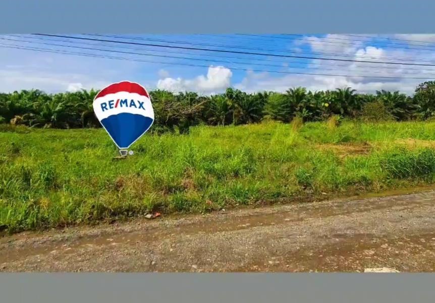 LOTE #1 SIZE: 1000 mts2   $55 000!!! MAIN ENTRY OF DAMAS –  QUEPOS!!!