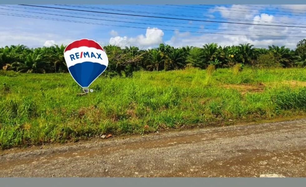 LOTE #5 SIZE: 1000 mts2   $55 000!!! MAIN ENTRY OF DAMAS –  QUEPOS!!!