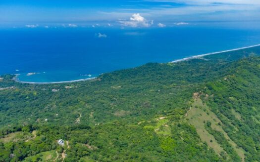 Dominical