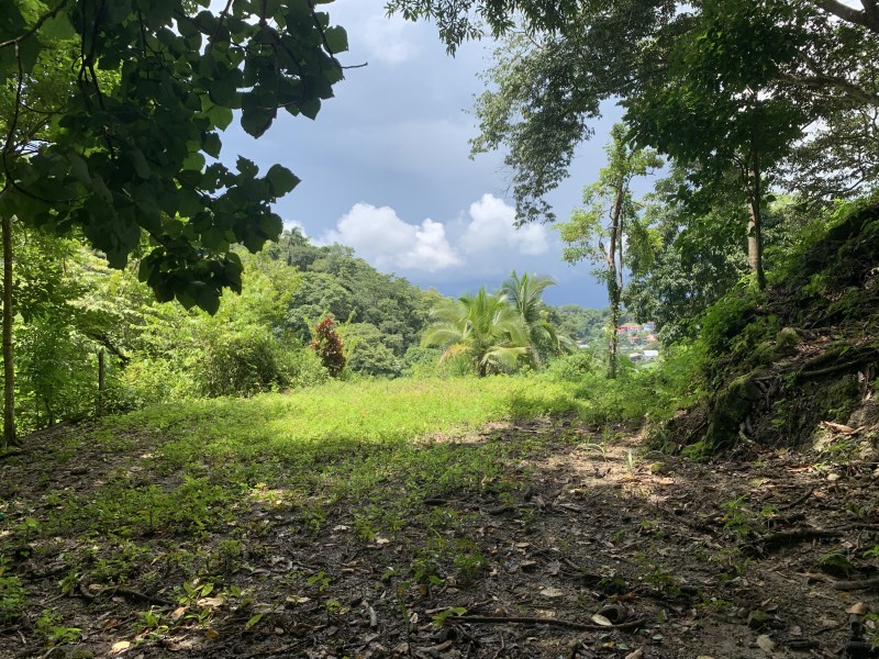 Ready to Build Manuel Antonio Luxury Lot! *REDUCED TO SELL!