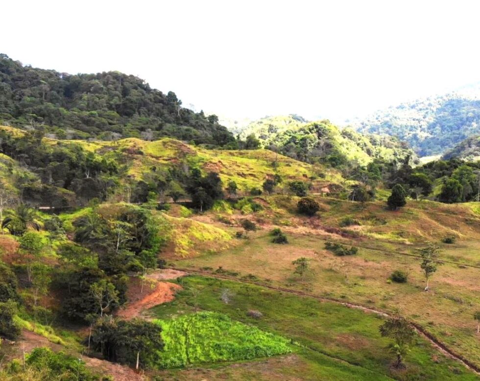 Stunning Tropical Farm with Development Potential in Costa Rica – Finca Paraiso