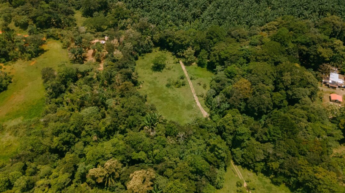 5 acre parcel near Quepos Manuel Antonio for sale