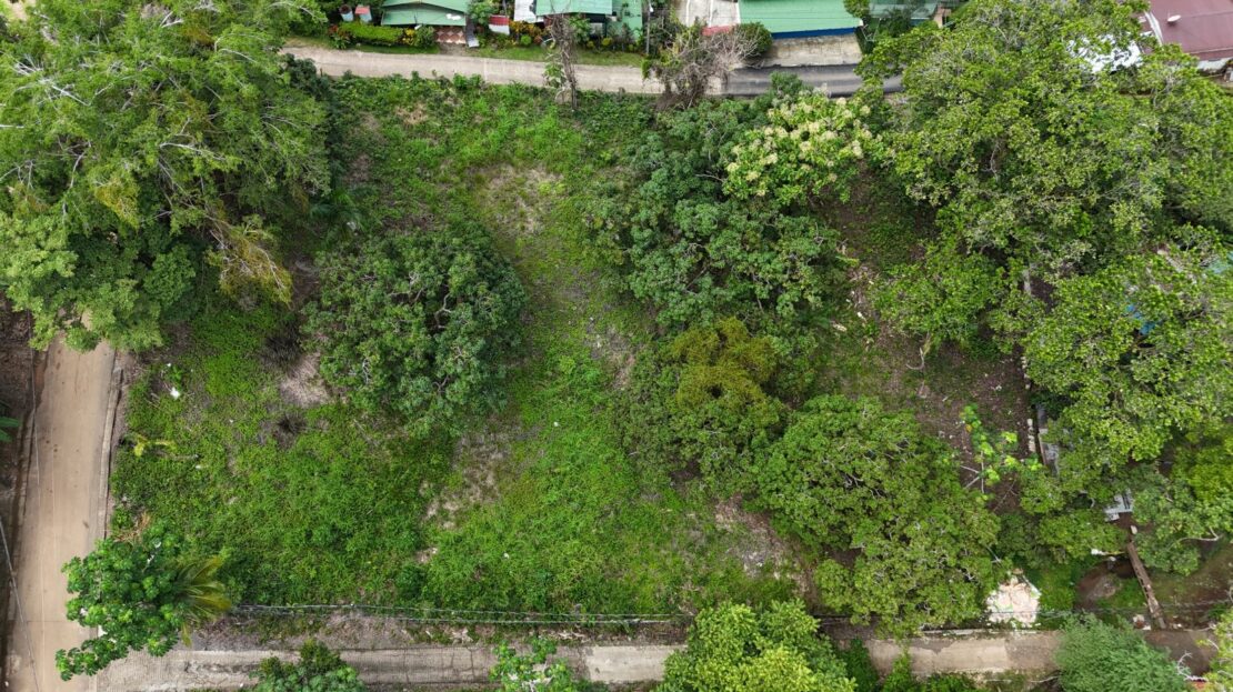 Prime 1 acre Lot in Villa Lirio, Manuel Antonio – Ideal for Your Dream Home or Vacation Retreat