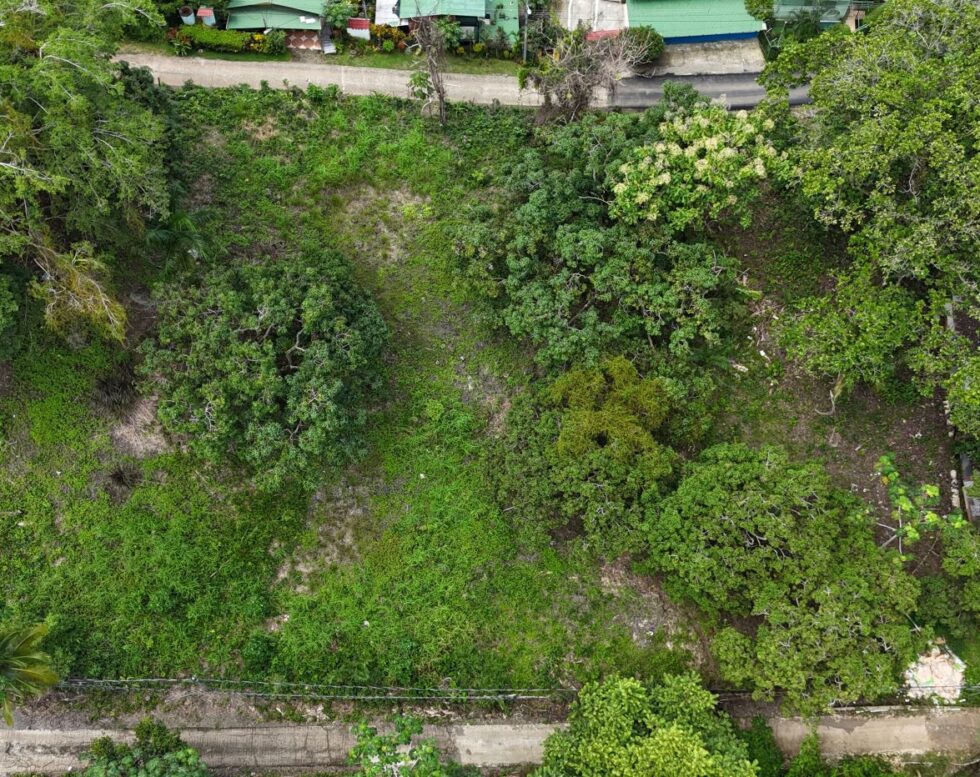 Prime 1 acre Lot in Villa Lirio, Manuel Antonio – Ideal for Your Dream Home or Vacation Retreat