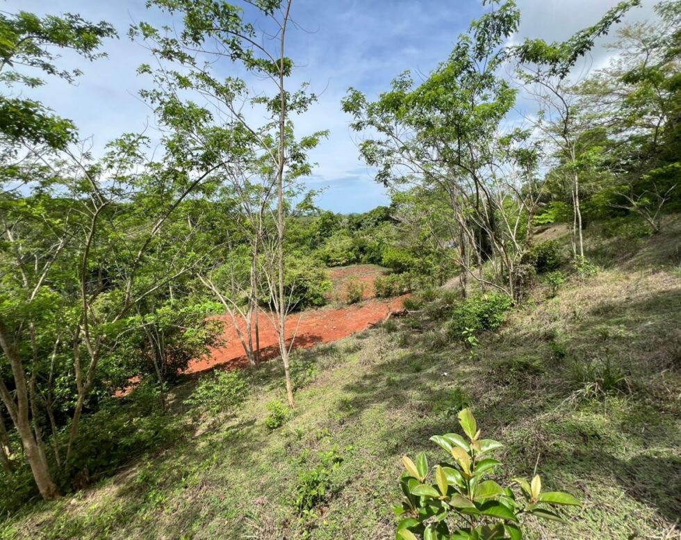 Embrace Tranquility: Own Lot 3A – A Panoramic Mountain View Haven in a Gated Community
