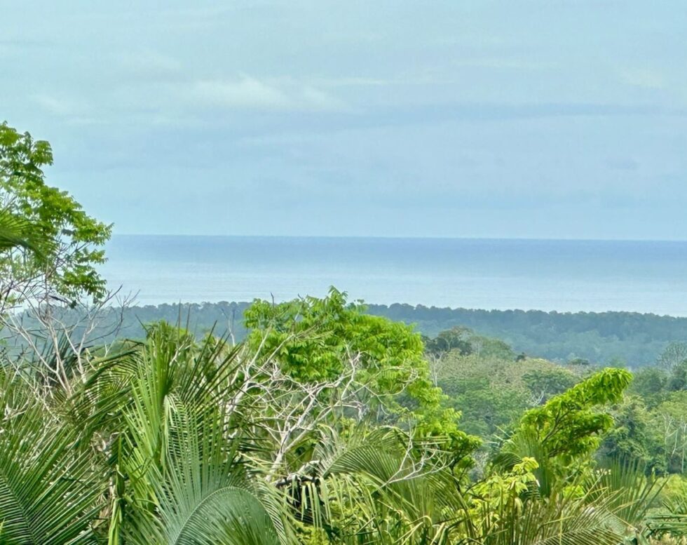 Exclusive Paradise Found – 10,920 sqm Ocean View Lot in Gated Community