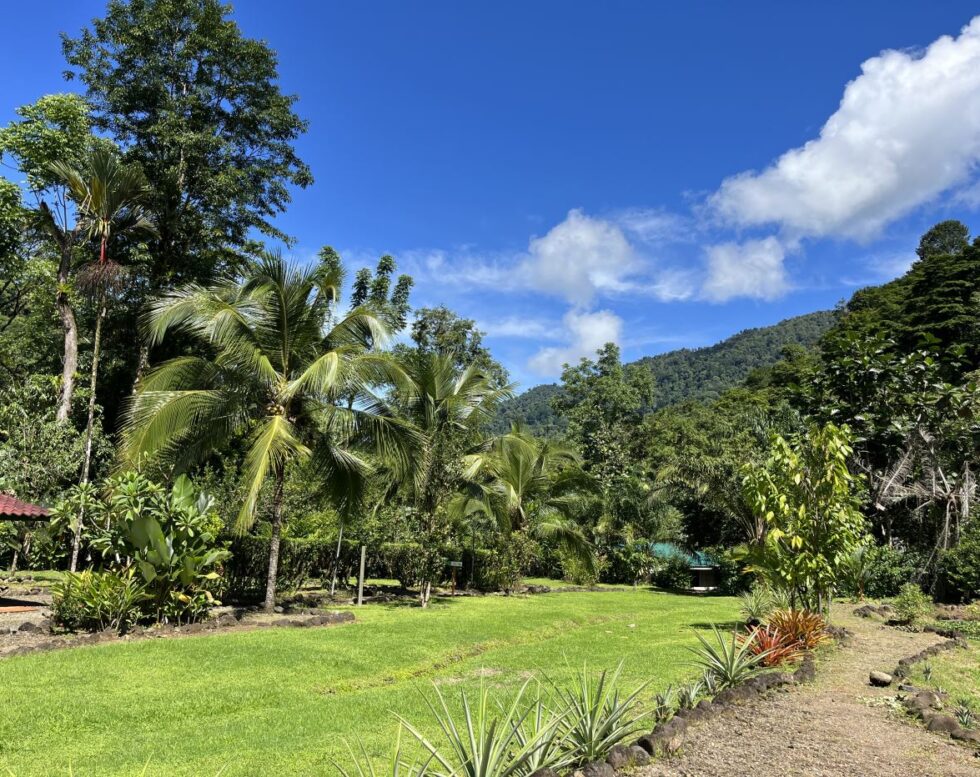 Stunning 16049 sqft Eco-Friendly Lot with Hot Springs, Waterfall Access, and Modern Amenities in Secure Community near Quepos