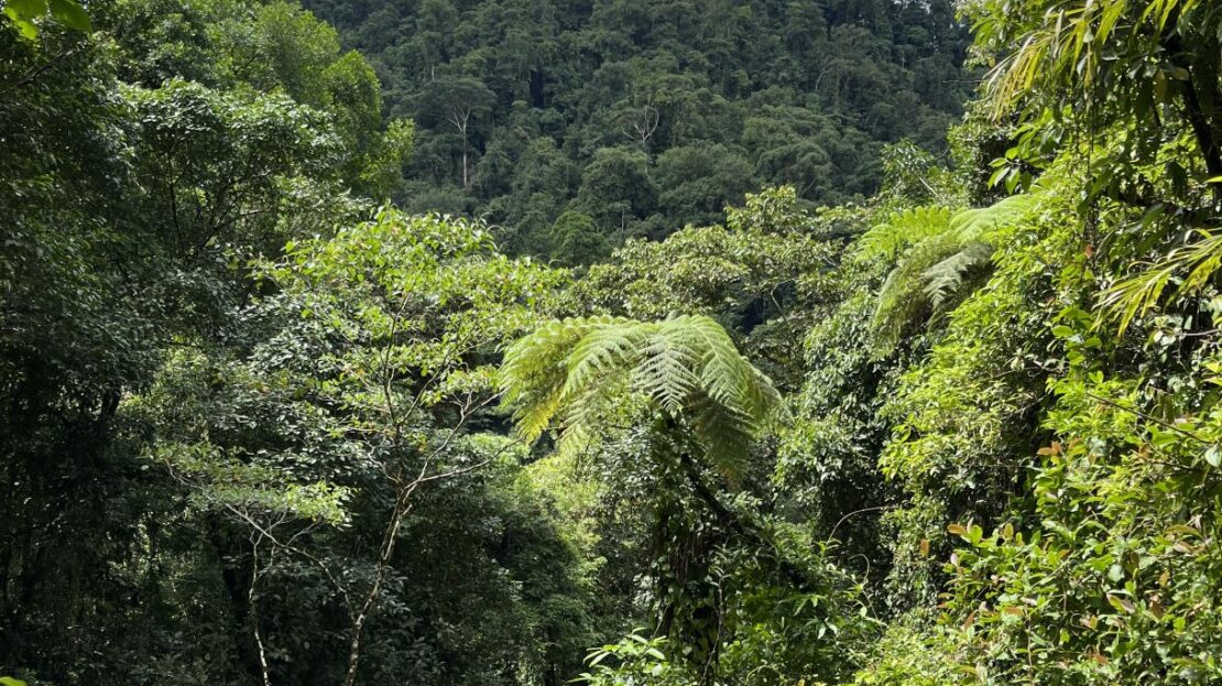 and Modern Amenities in Secure Community near Quepos