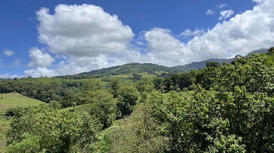 Savegre de Quepos