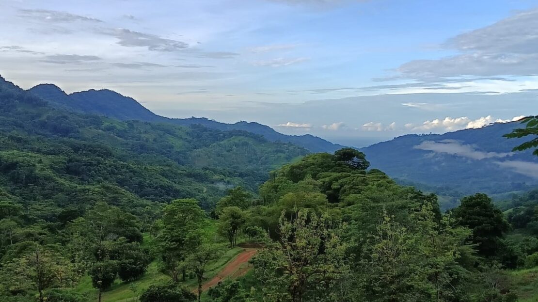 Waterfalls & mountains - 1.7He or 3.5He of land near Dominical and Manuel Antonio