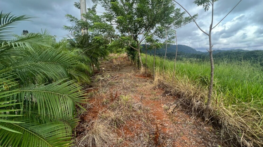 Descending lot with river and mountain views in a gated community in Costa Rica