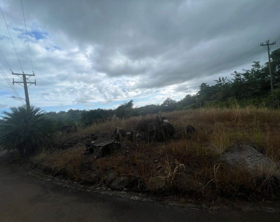 Mountain view corner lot for sale in a gated community in Quepos