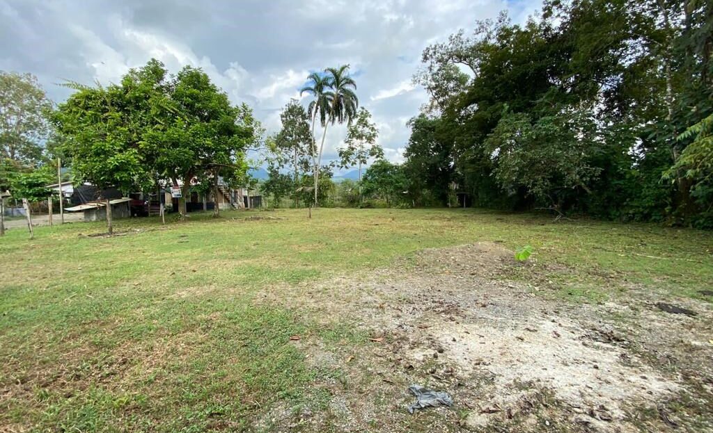 nice flat vacant land in Naranjito. Quepos