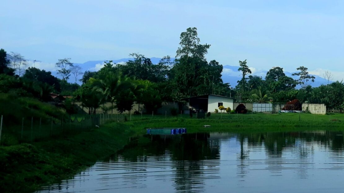 tilapia farm and fruit trees for sale - SELLER FINANCING AVAILABLE