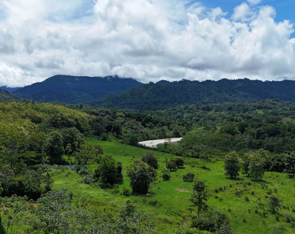 Serene picturesque 8,374-square-foot lot near Quepos – low HOA fees, seller financing available